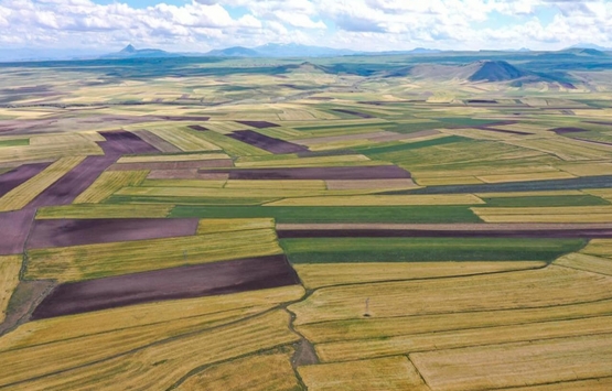 32 ilde Arsalar açık artırma ile satışa sunuldu