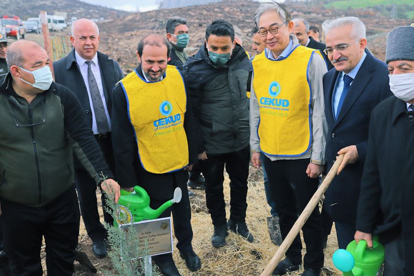 Türkiye – Kore dostluğu 580 bin fidanla kökleşti
